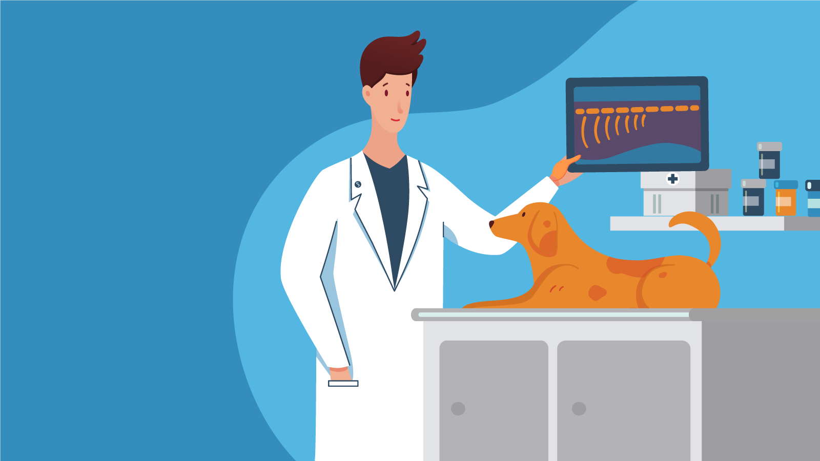 Pros and Cons of PennHip and OFA Hip Radiographs: Review for Vet Students